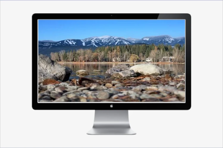 Step 5 - Download Result